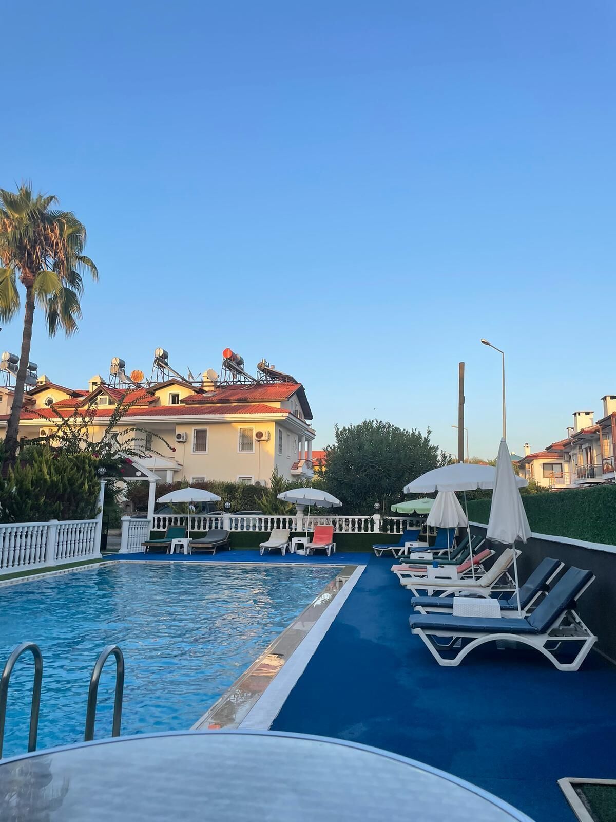 A swimming pool with lounge chairs and umbrellas, surrounded by a white fence and palm trees.