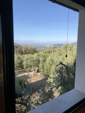 Vista desde la propiedad
