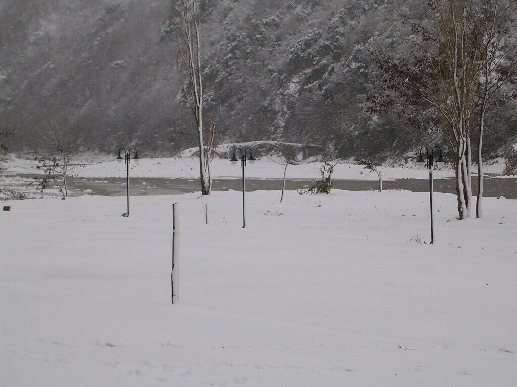 Paesaggio innevato con alberi spogli e un fiume.