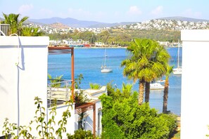 A coastal view with a marina, boats, and a town in the background.