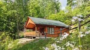 Une cabane en bois dotée d’un porche, entourée d’une végétation luxuriante et de fleurs sauvages.