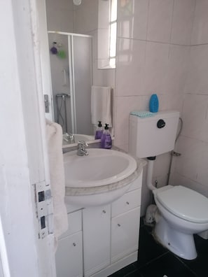 Bidet, towels, toilet paper