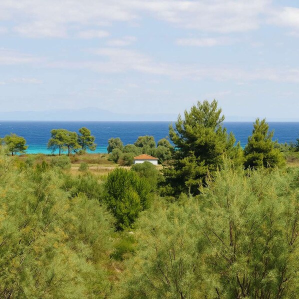 Studio - Aquamare Studios - Sea View Studio With Balcony (Kassandra)