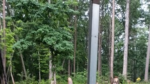 A wooden staircase with a metal railing, surrounded by greenery and trees.