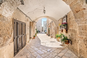 A narrow stone-paved alleyway with arched ceilings, potted plants, and a view into the distance.