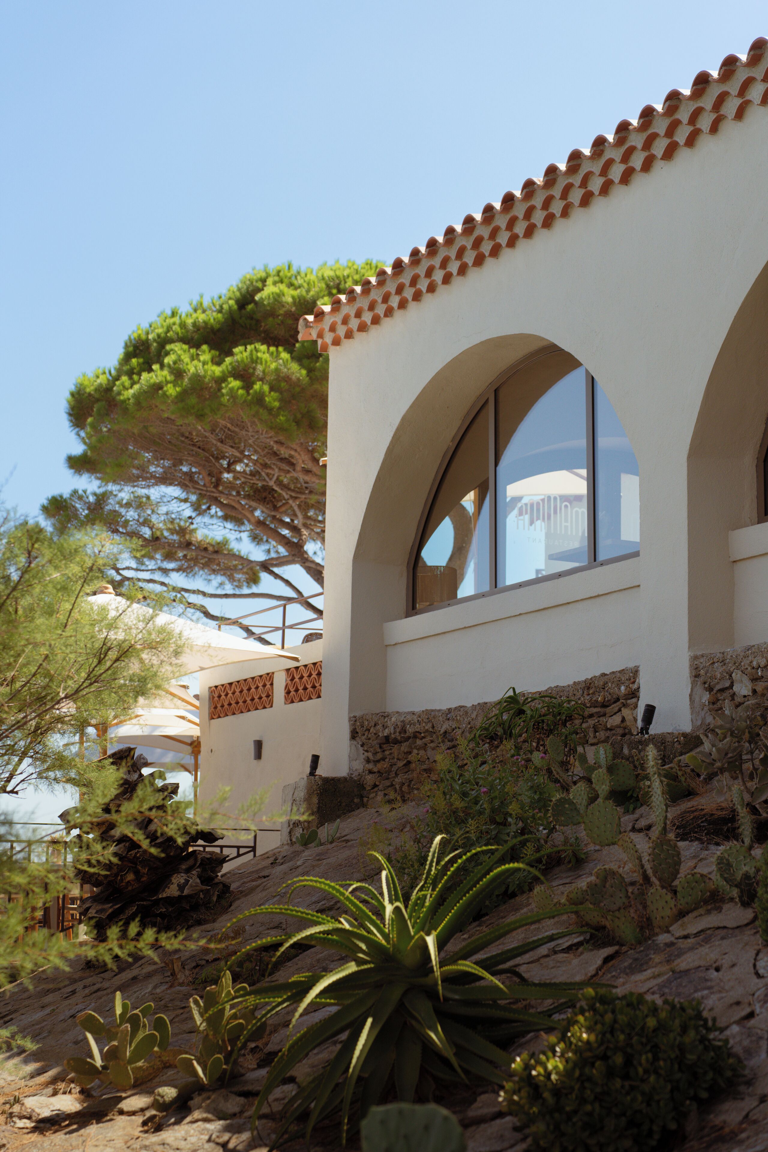 A building with arched windows and a stone base, surrounded by cacti and a tree.