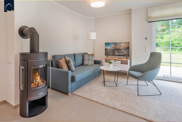 Télévision, cheminée, livres, chaîne hi-fi