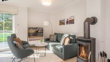 TV, fireplace, books, stereo