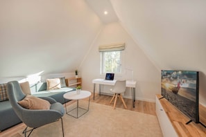 TV, fireplace, books, stereo - Stylish vacation home in a fishing village with garden, 3 floors & infrared cabin on the ground floor (Zirchow)