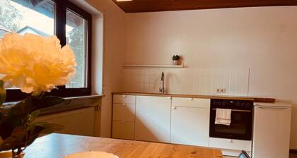 Country house by the stream with garden