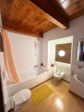 Shower, hair dryer, bidet, towels