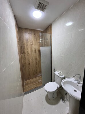 Combined shower/bathtub, towels, soap, shampoo - pyramids window (Giza)