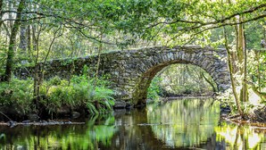 A stone bridge over a calm river, surrounded by lush greenery and trees. - Logis hôtel des voyageurs (Tarnac)
