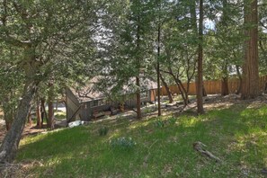Escape to a serene retreat surrounded by lush greenery and tall trees, perfect for relaxation or outdoor activities.
