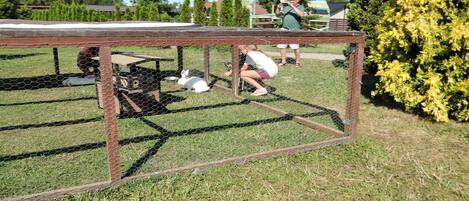 Zona cercada con mesa de picnic y banco.