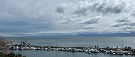 A marina with boats docked, a pier, and mountains in the distance.