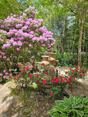 3 bedroom cabin w/hot tub