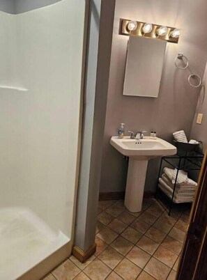 Shower, hair dryer, towels, soap - 3 bedroom cabin w/hot tub (Asheville)