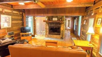 Télévision, cheminée, lecteur de DVD