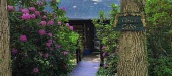 Authentic log cabin near Biltmore House