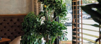 Harmony Boutique Hotel