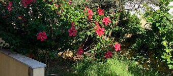 Family apartment with courtyard and large private garage 5 min from the sea