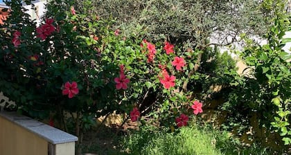 Family apartment with courtyard and large private garage 5 min from the sea
