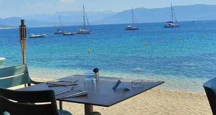 Traditional Corsican house. Garden 450 m2. Family vacation