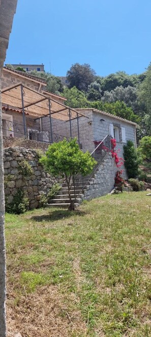 Property grounds - Traditional Corsican house. Garden 450 m2. Family vacation (Pila-Canale)