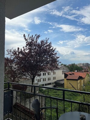 Deluxe Apartment | Terrace/patio