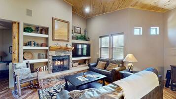 電視、壁爐、DVD 播放機、書籍