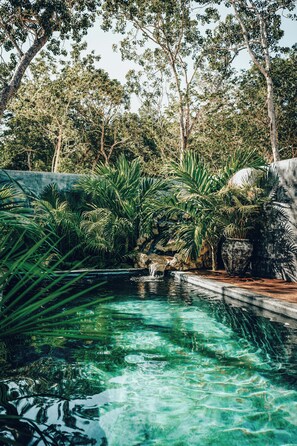 On peut voir clairement une piscine entourée d’une végétation luxuriante et d’arbres.
