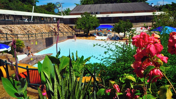 A swimming pool with a stone wall, umbrellas, and tropical plants.