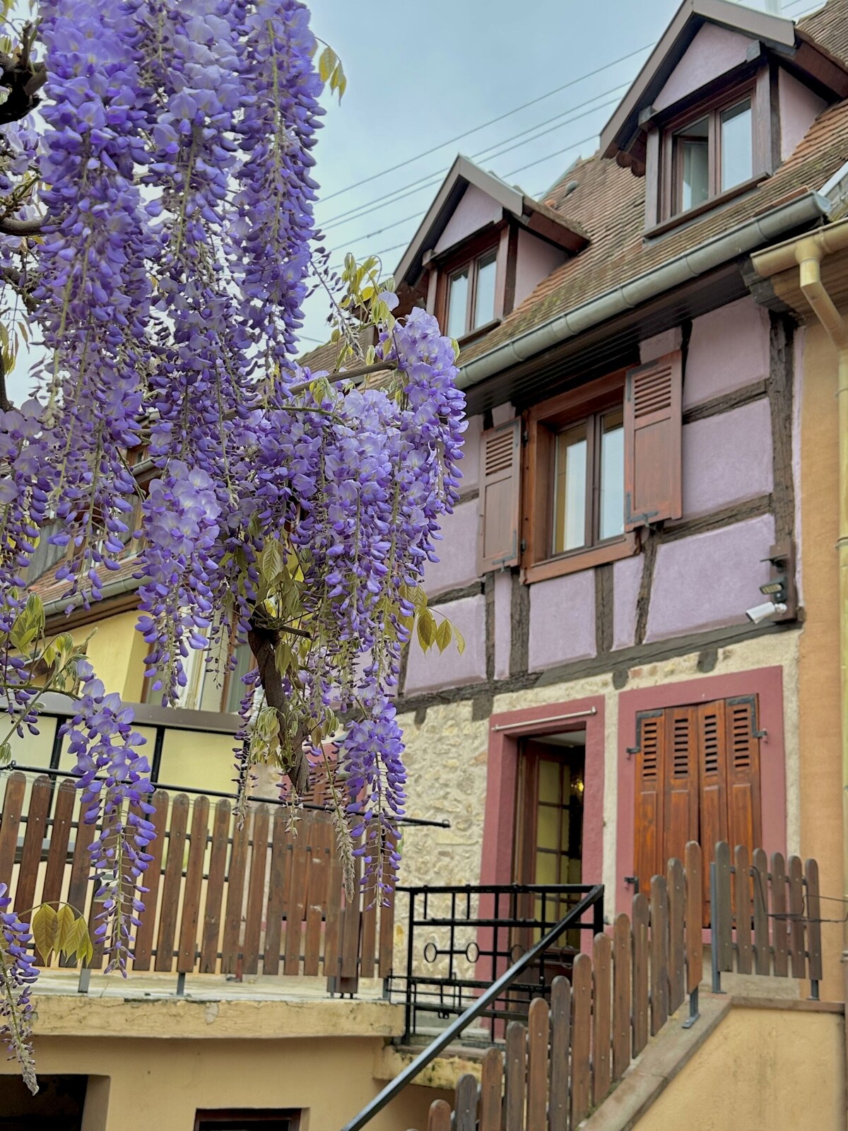 Bild für Gastgeberprofil