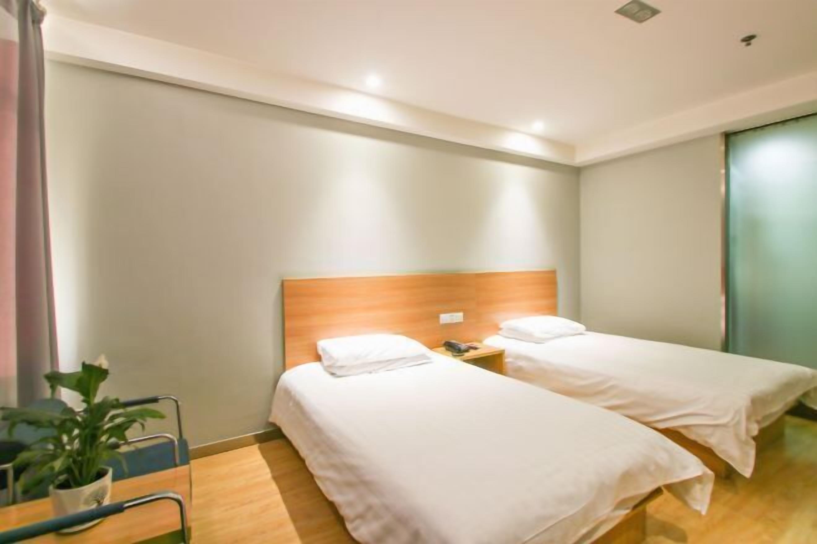 Habitación de hotel con dos camas individuales, cabecera de madera, mesita de noche con lámpara, una planta pequeña y una silla accesible para personas en silla de ruedas.