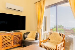Smart TV, DVD player, books, video library