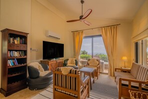 Smart TV, DVD player, books, video library