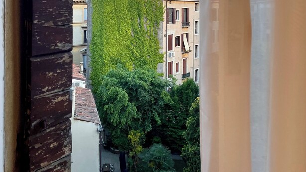 Vista a través de una ventana con marco de madera, un edificio con techo rojo y un árbol de follaje verde.