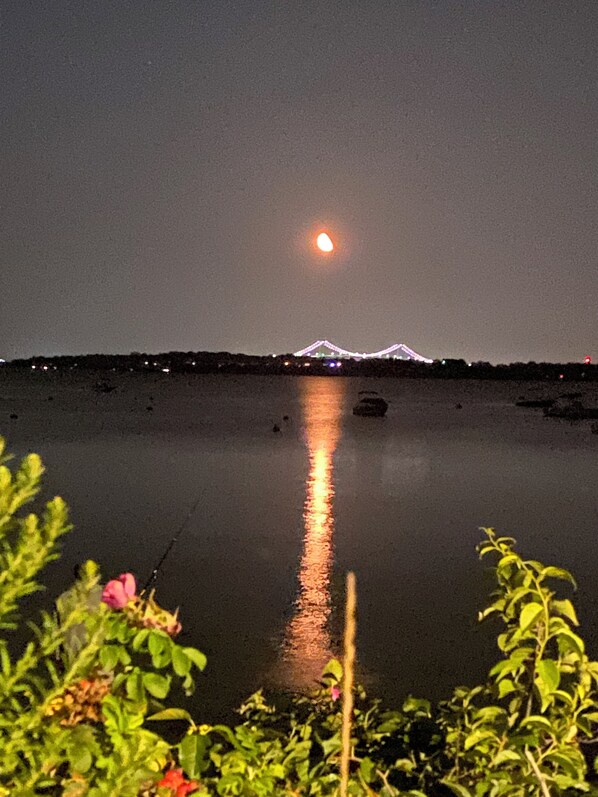 منوع