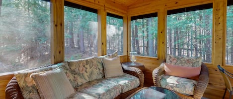 TV, fireplace, DVD player