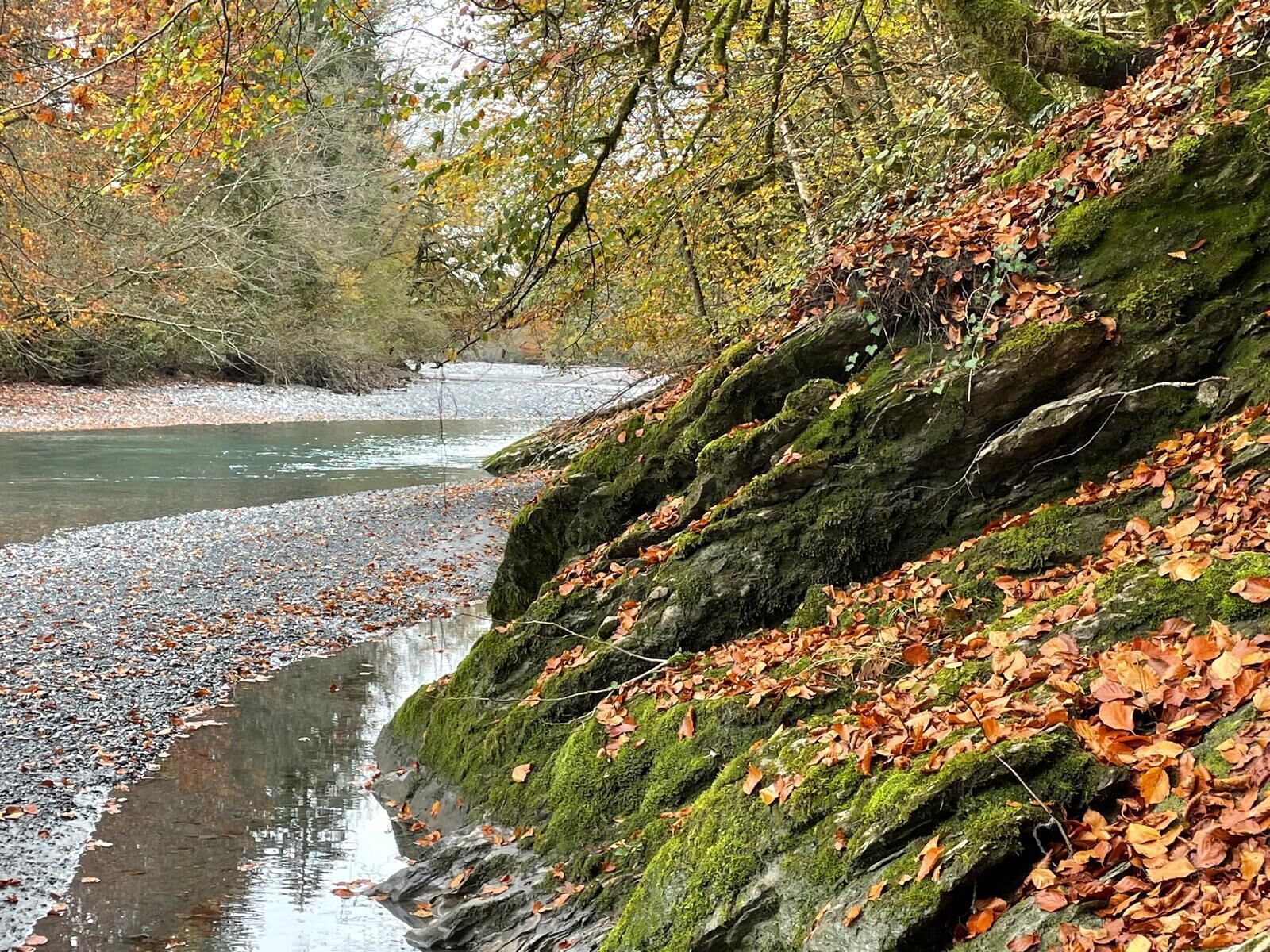 Une rive de rivière avec une pente rocheuse recouverte de feuilles d’automne et de mousse.