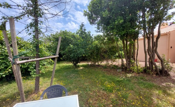 Un jardín con una hamaca, árboles y una silla.