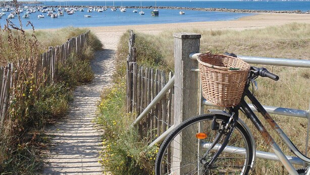 A bicycle with a basket on a paved path leading to a beach with boats in the water.