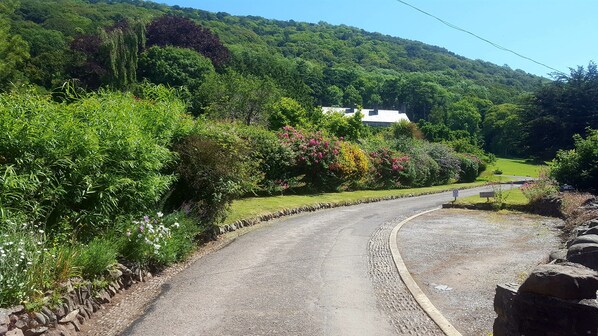 A rural road curving through a lush landscape with a stone wall on one side and a building in the distance.