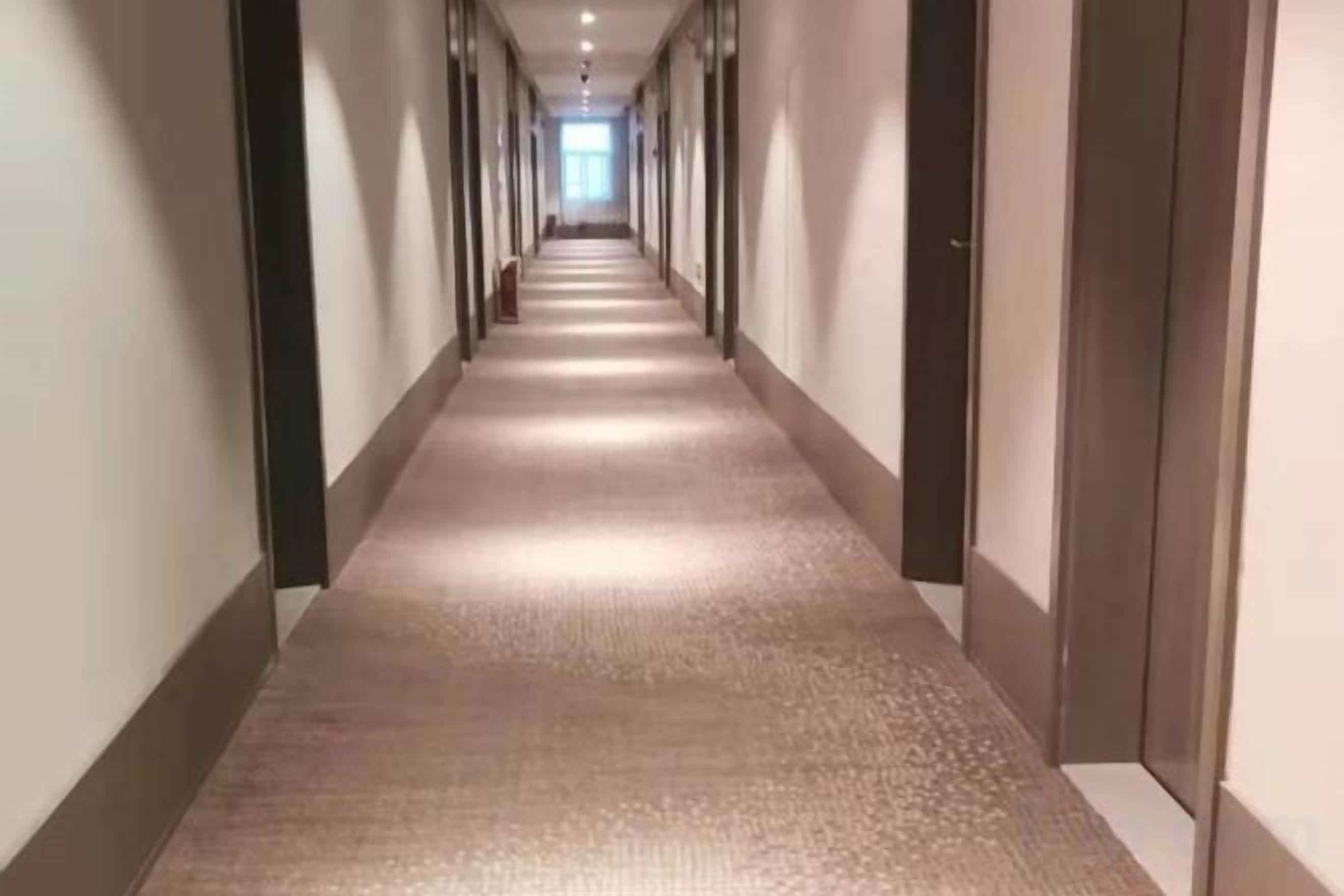 Un pasillo largo y estrecho con suelo alfombrado y puertas a ambos lados.