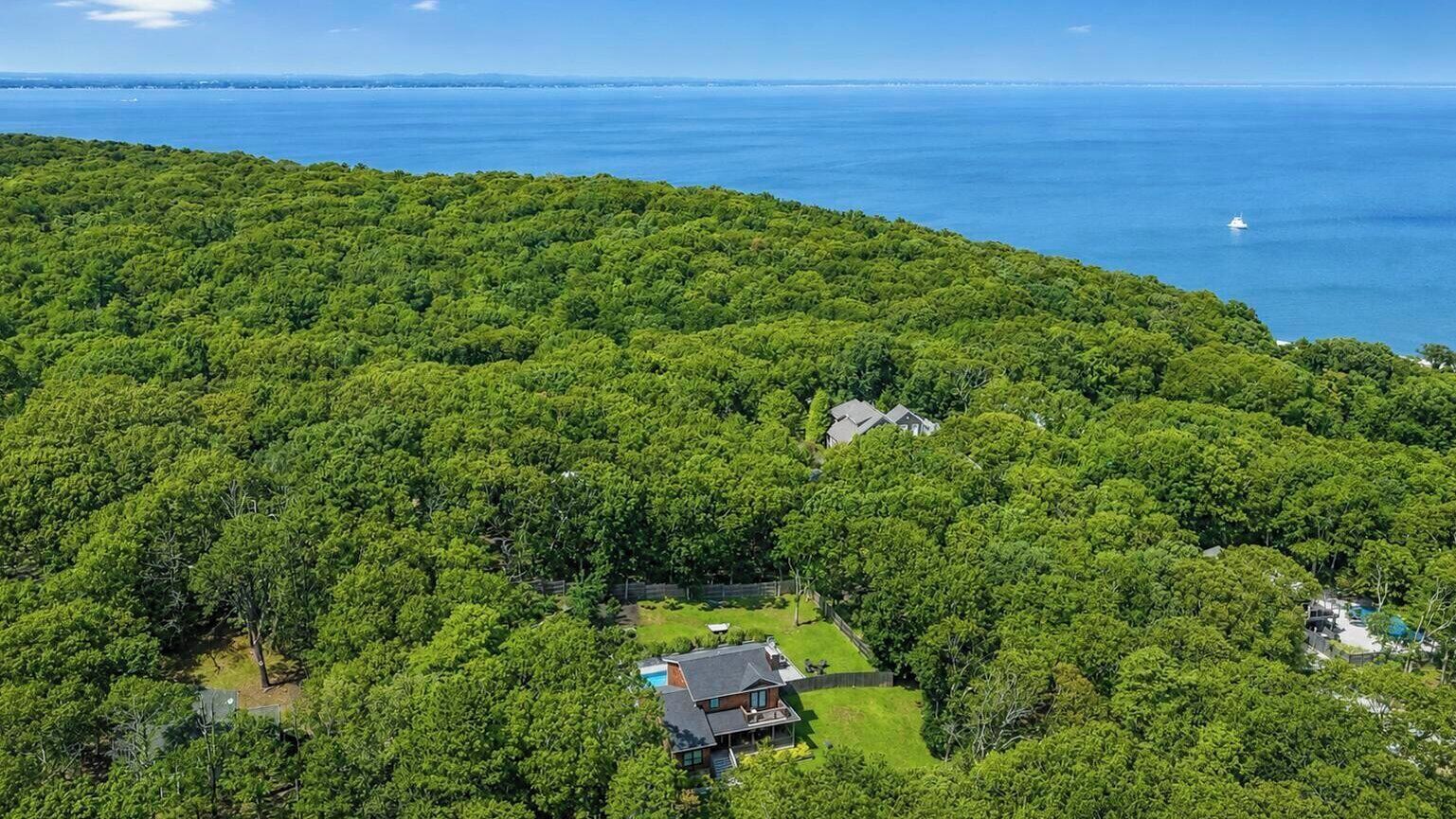 A residential area with a house surrounded by dense greenery and a view of the ocean.