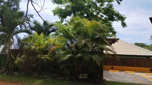 A residential area with a house featuring a tiled roof and a fenced yard with various tropical plants.