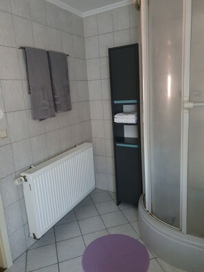 Shower, hair dryer, toilet paper