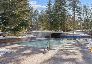 Una piscina rodeada de árboles cubiertos de nieve y un camino de ladrillos.