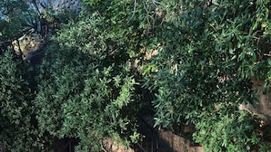 Un escalier en pierre mène à un bâtiment sur lequel est apposée une pancarte indiquant « PRIVÉ », le tout étant entouré d’une végétation luxuriante.